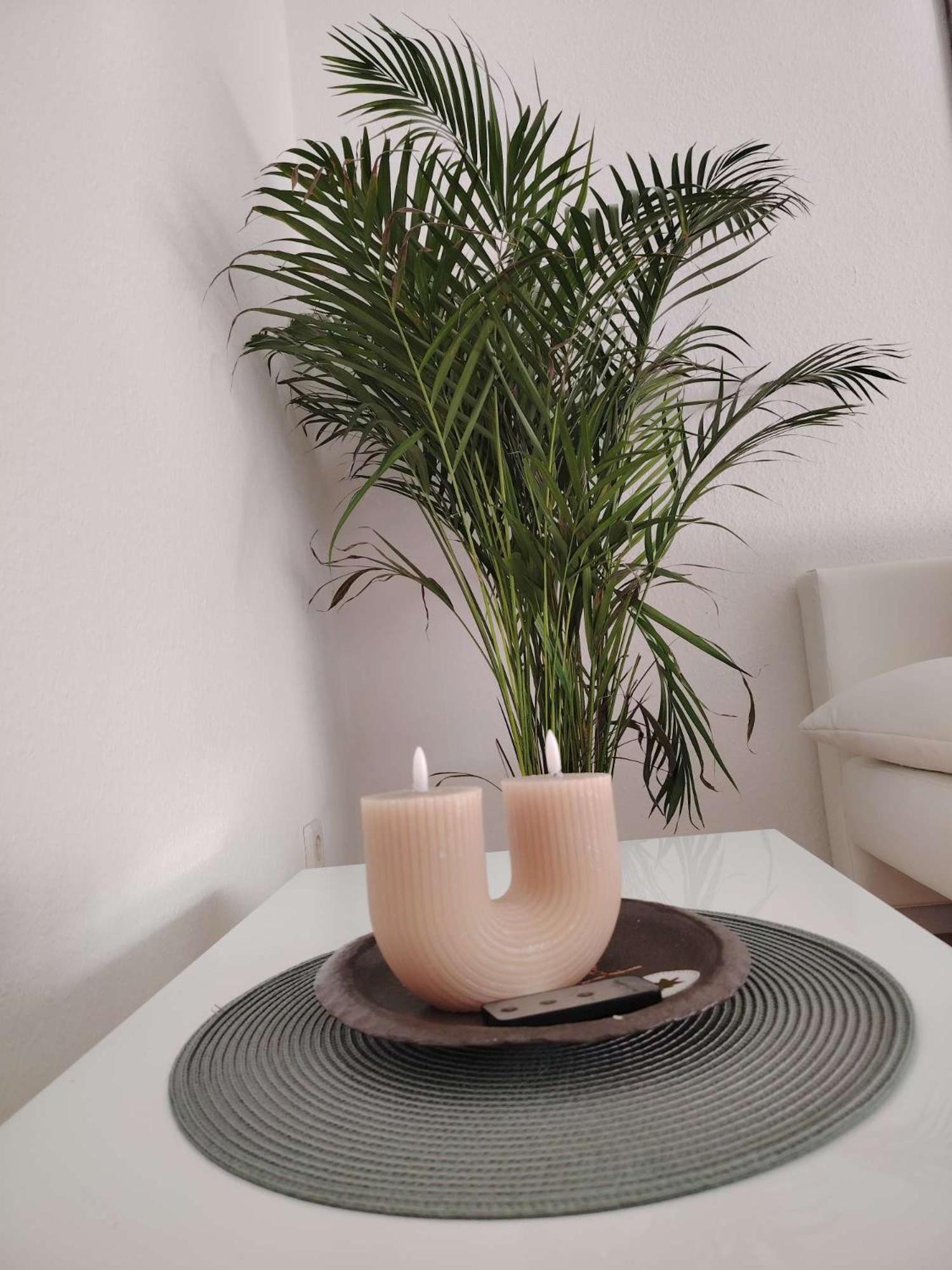Koblenzliebe Rhein Ferienwohnung 3-Zimmer Garten Parking 科布倫茨 外观 照片